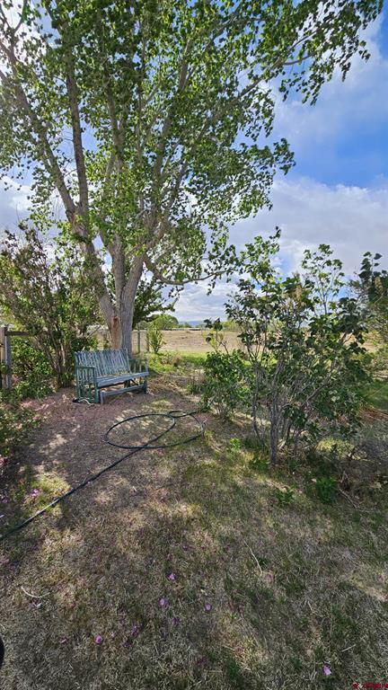 19870 Joy Road Property Photo 21