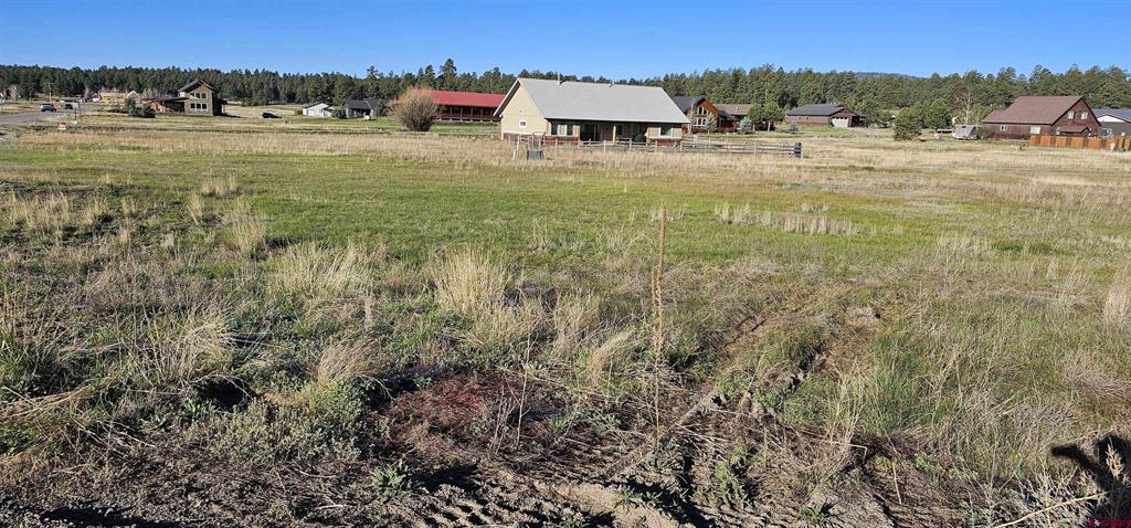 6550 N Pagosa Boulevard Property Photo 6