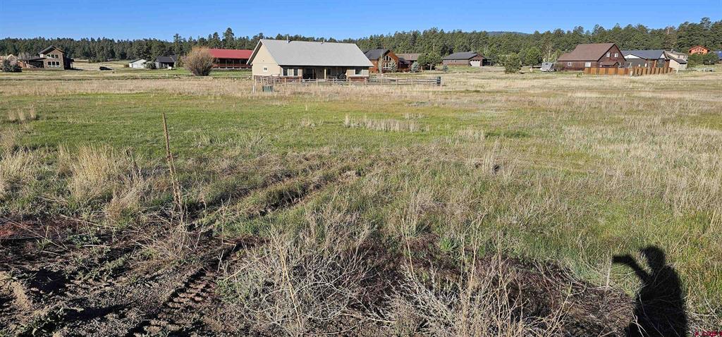6550 N Pagosa Boulevard Property Photo 9