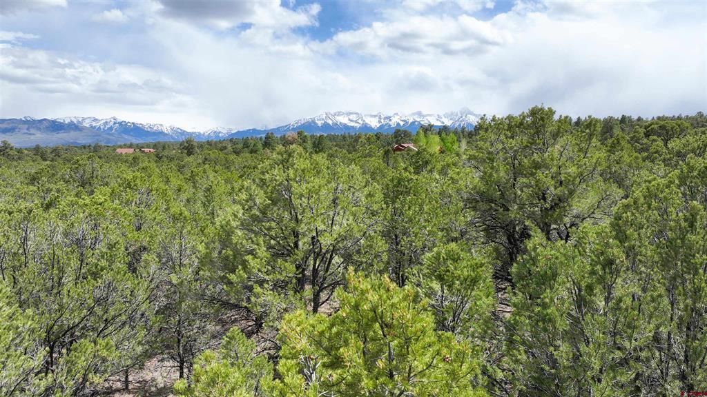 212 Fisher Canyon Drive