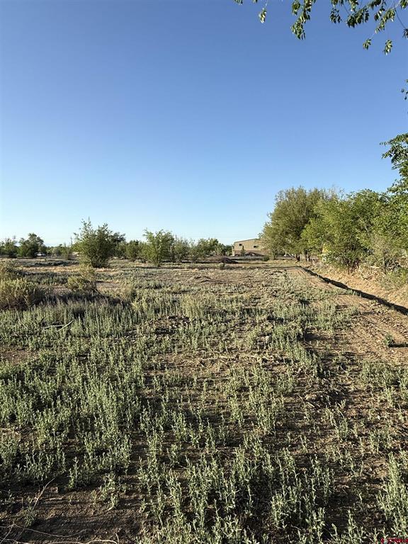1475 And Tbd Highway 50 Property Photo 8