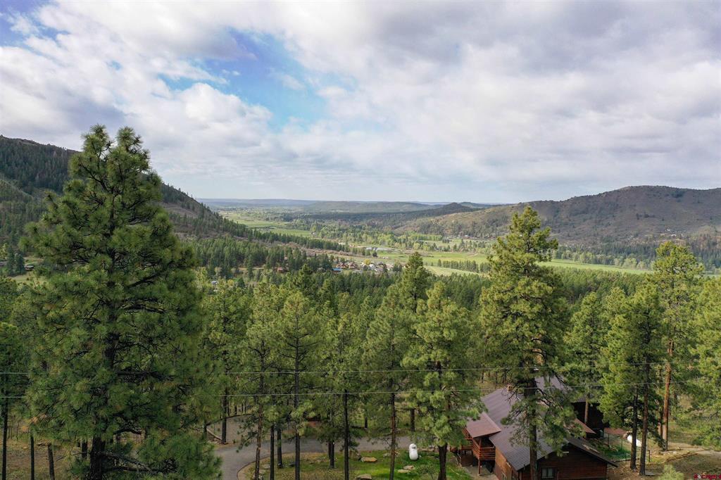 1043 Deer Ridge Drive Property Photo 29