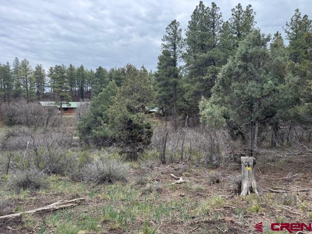 512 & 564 Jack Rabbit Road Property Photo 1