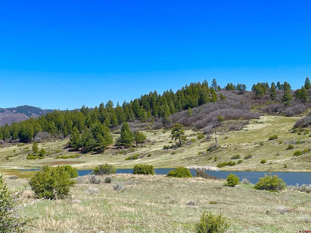 265 Spring Creek Circle Property Photo 1