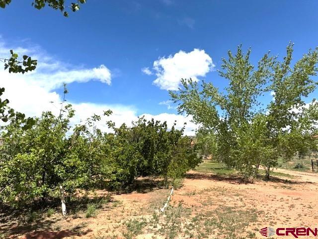 12427 Road G Property Photo 31