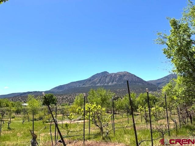 12427 Road G Property Photo 33