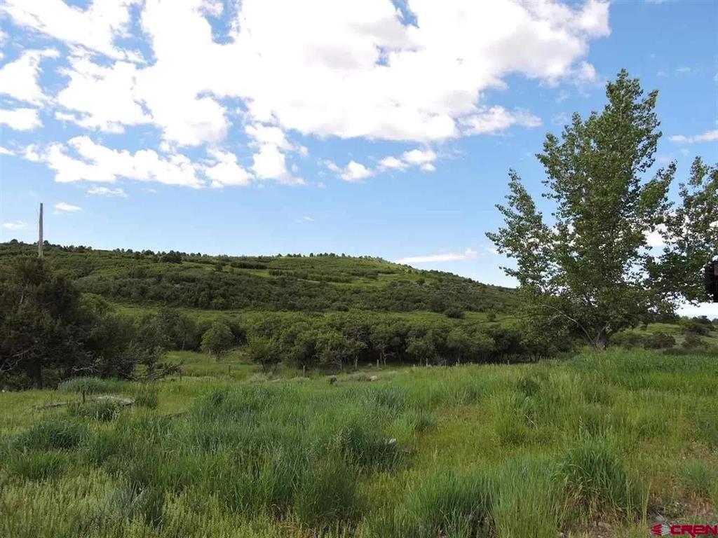 18880 3100 Road Property Photo 8