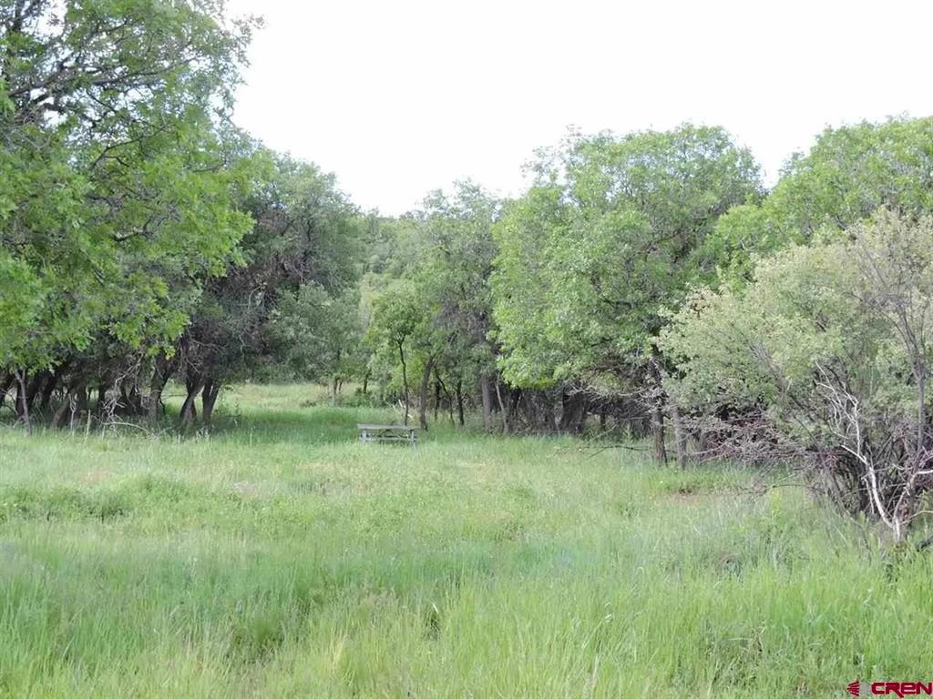 18880 3100 Road Property Photo 9