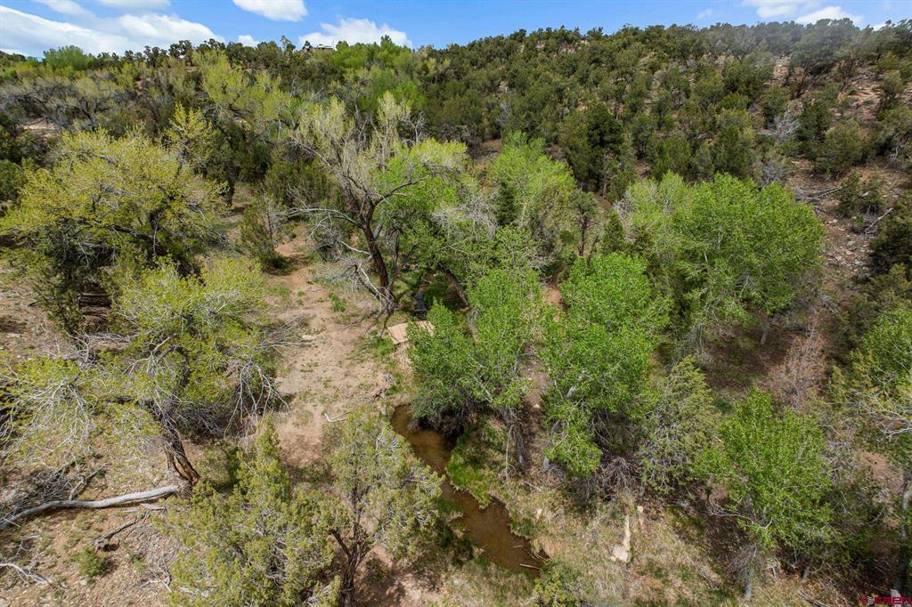 27778 Road P Property Photo 5