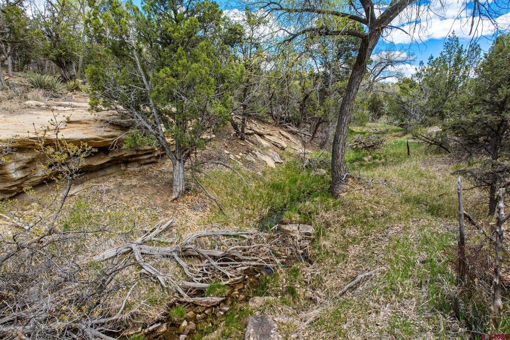 27778 Road P Property Photo 7