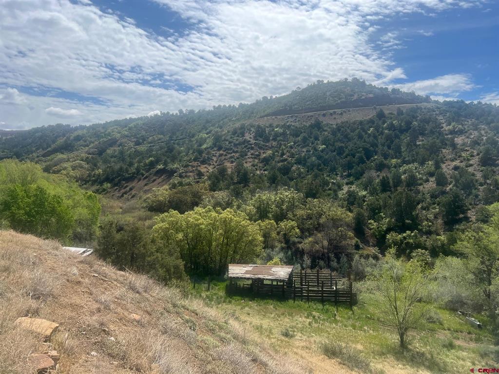 26918 S Us Highway 160 Property Photo 11