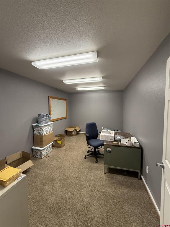 425 Kristen Court Property Photo 5