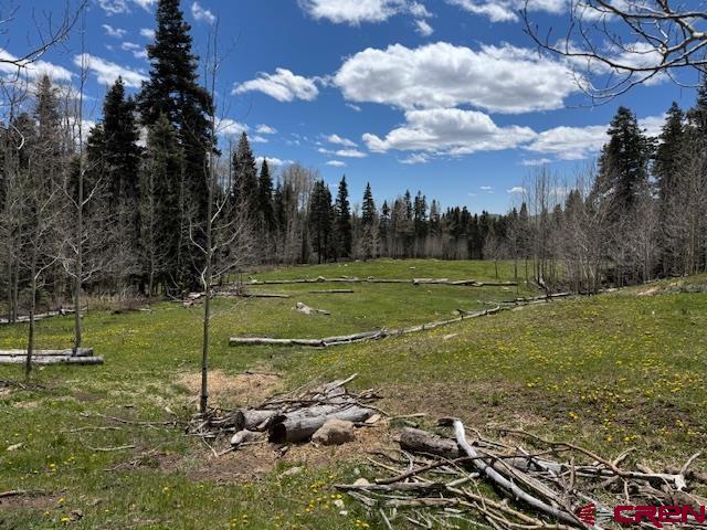 4558 Middle Mountain Road Property Photo