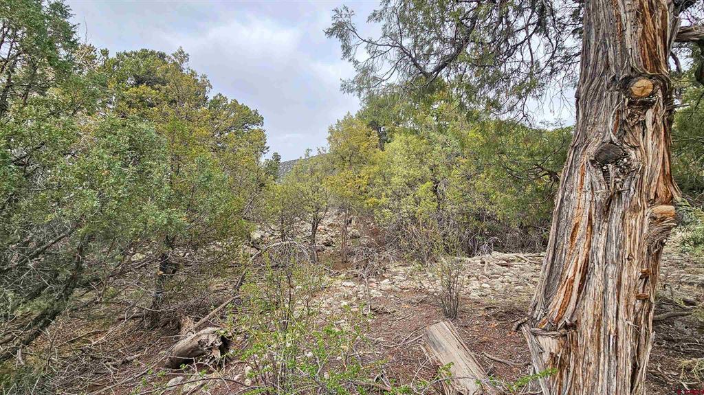 4233 Tranquil Way Property Photo 1