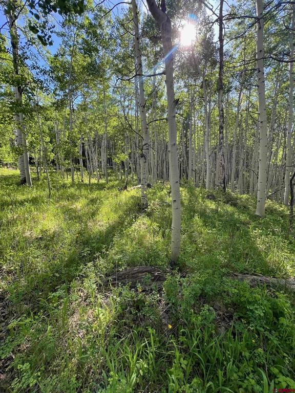 Tbd Eagles Rest Property Photo