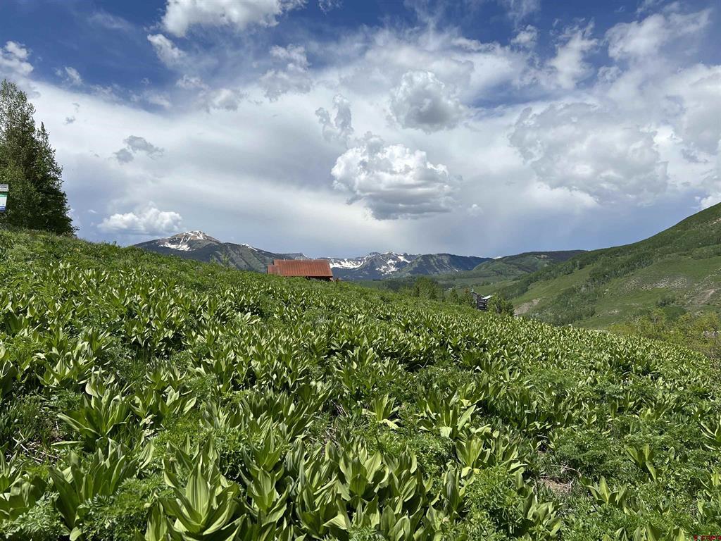 18 Cinnamon Mountain Road Property Photo 1