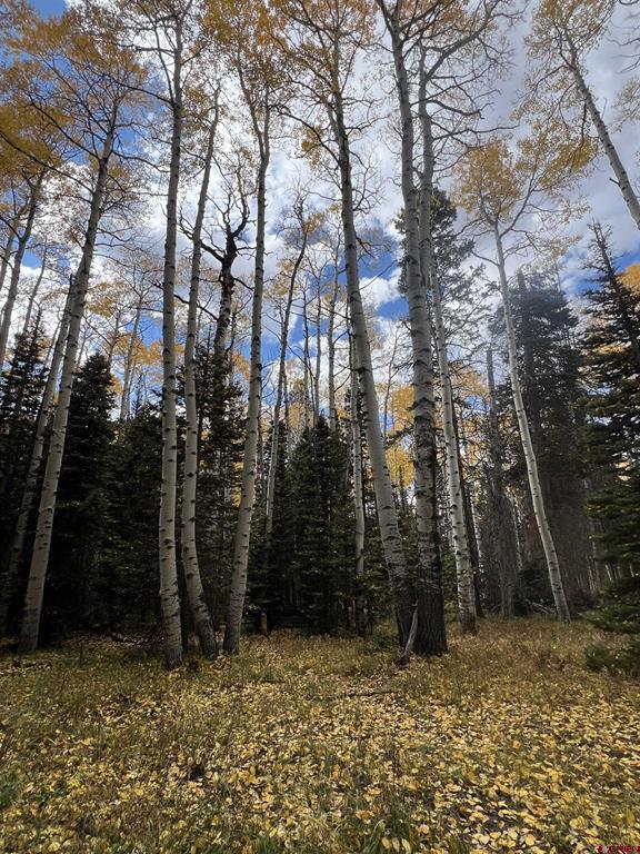 185 Aspen Trail