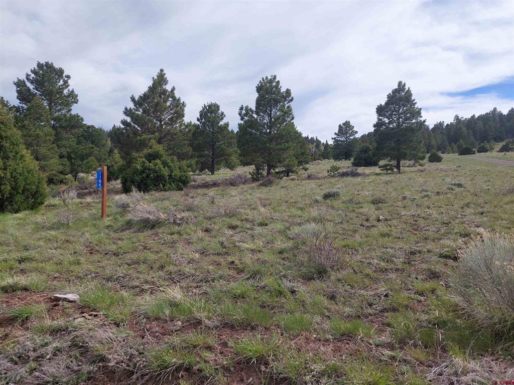 01195 Rito Hondo Rd Property Photo 2