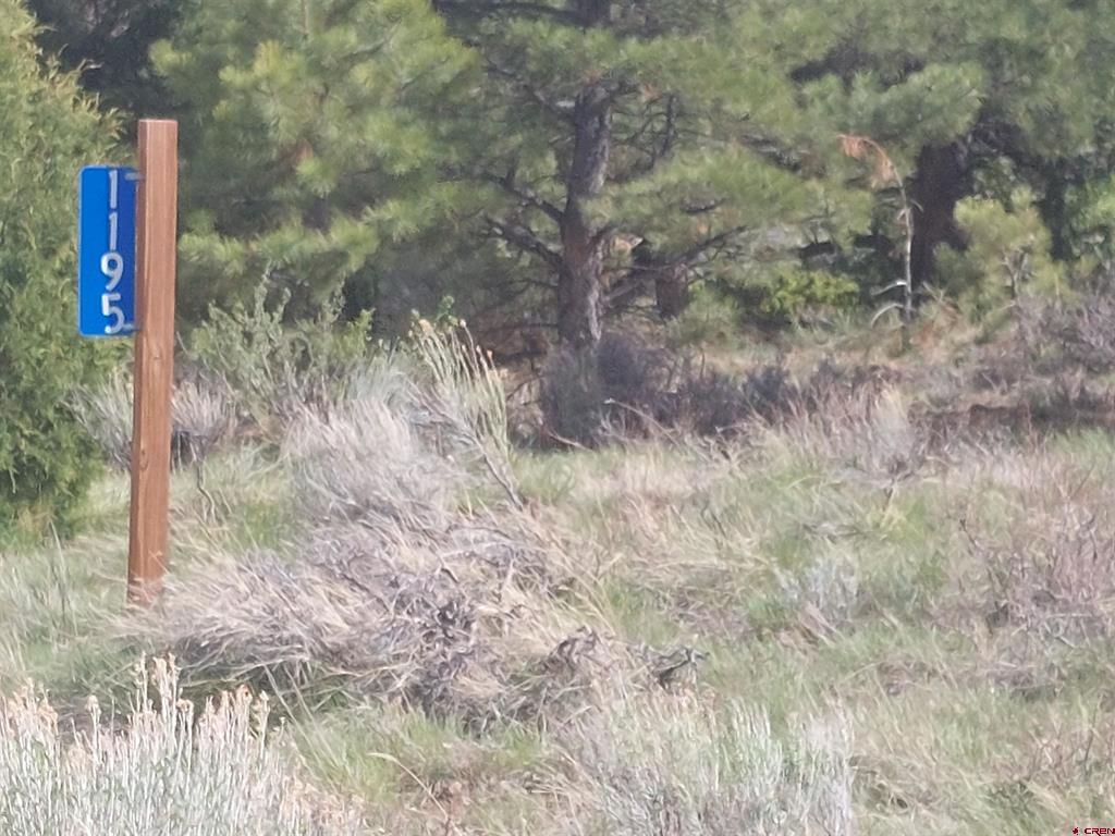 01195 Rito Hondo Rd Property Photo 3