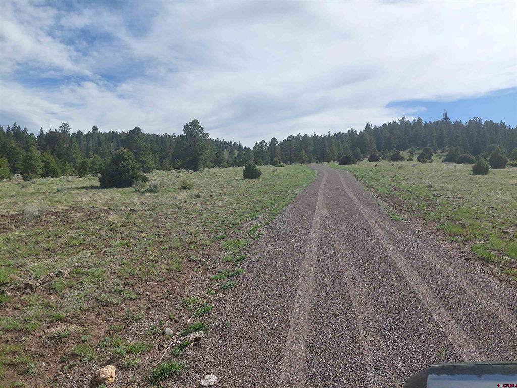 01195 Rito Hondo Rd Property Photo 5