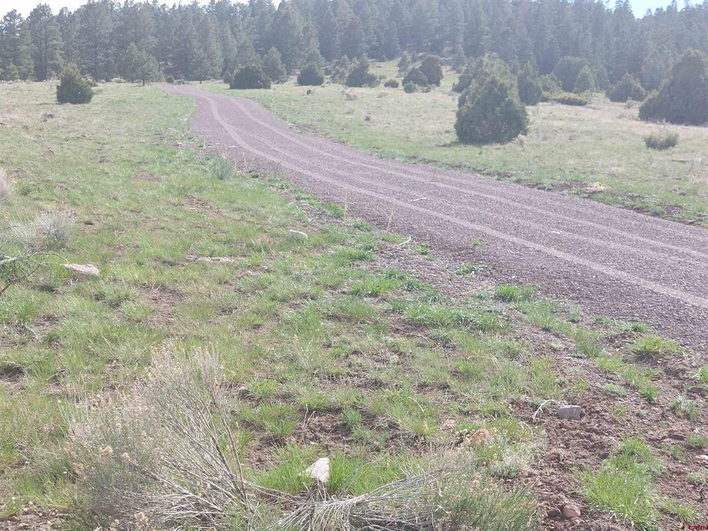 01195 Rito Hondo Rd Property Photo 6