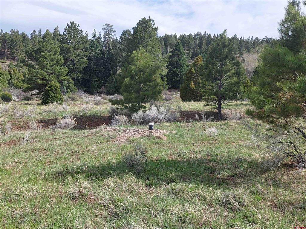 01195 Rito Hondo Rd Property Photo 7