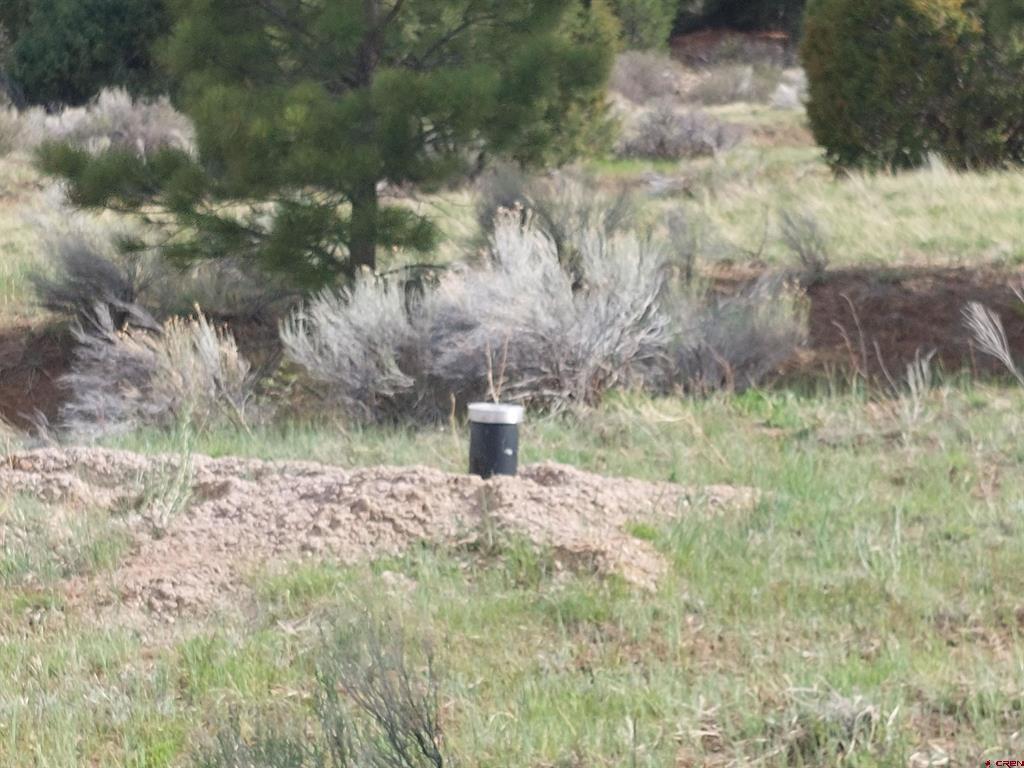 01195 Rito Hondo Rd Property Photo 8