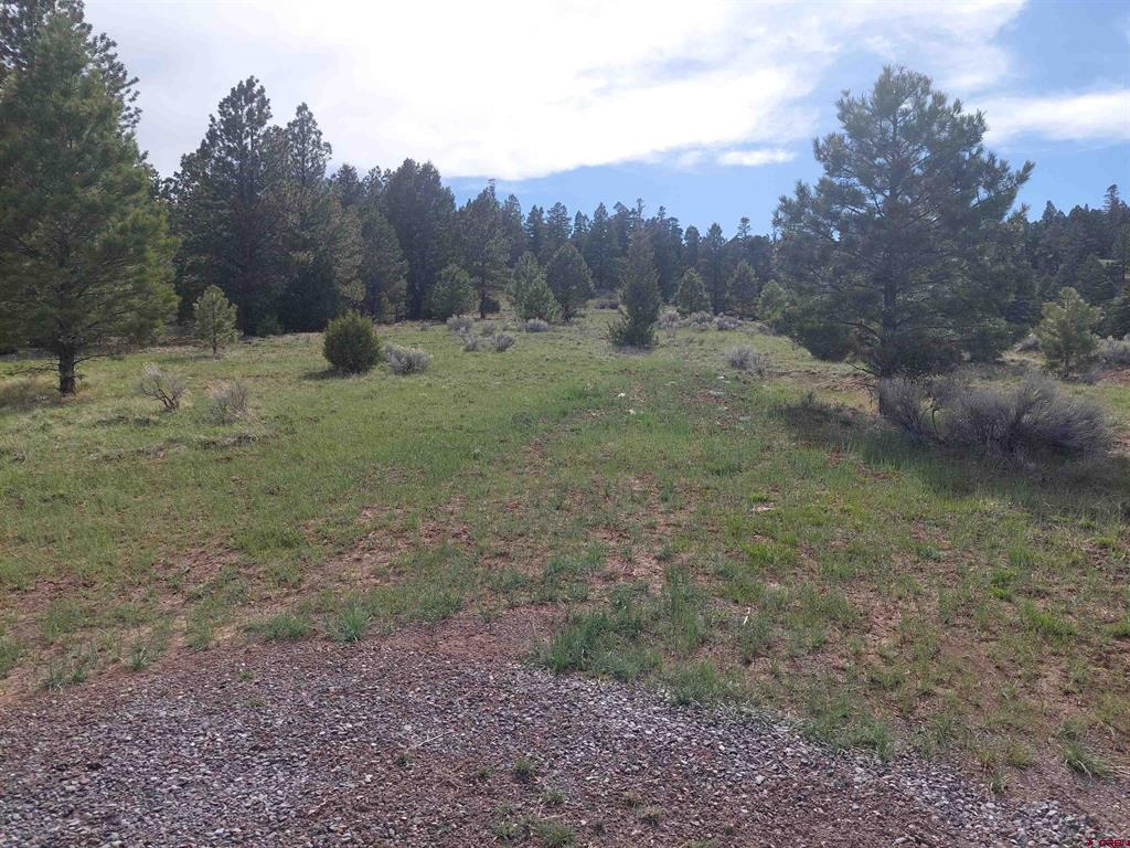 01195 Rito Hondo Rd Property Photo 9