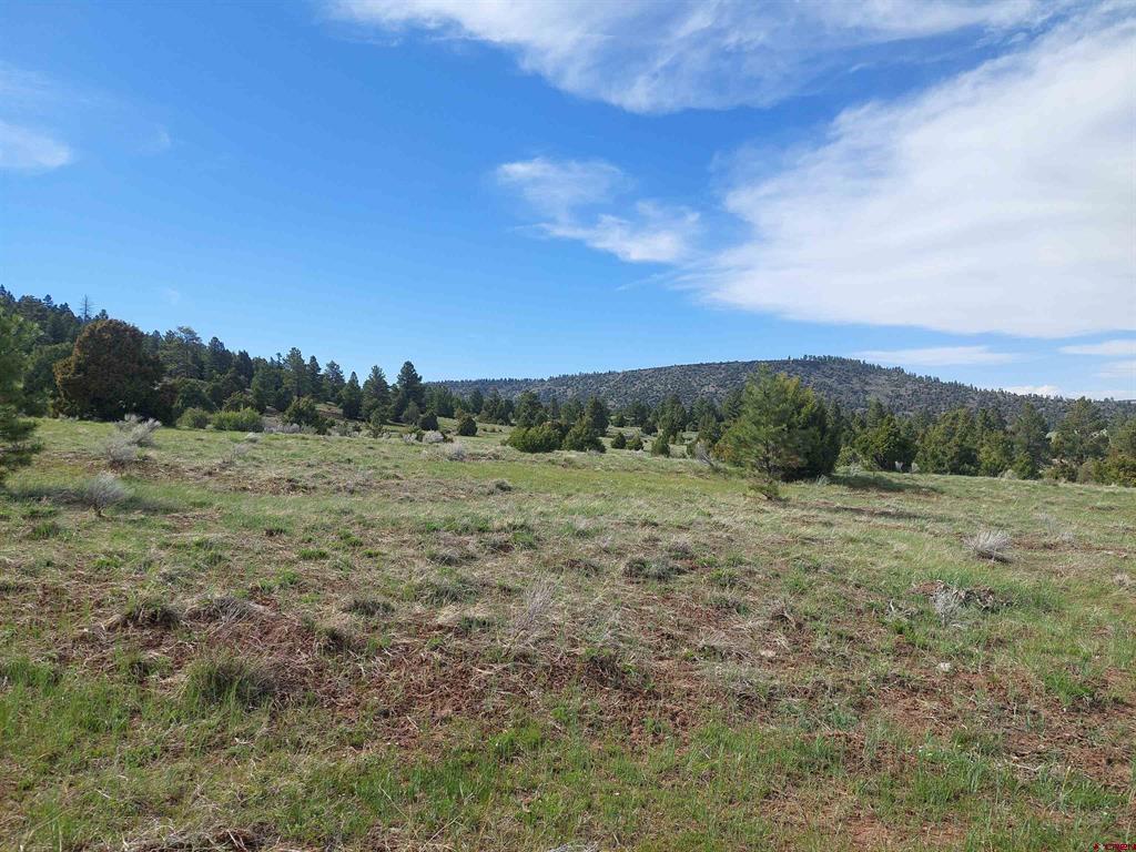 01195 Rito Hondo Rd Property Photo 11