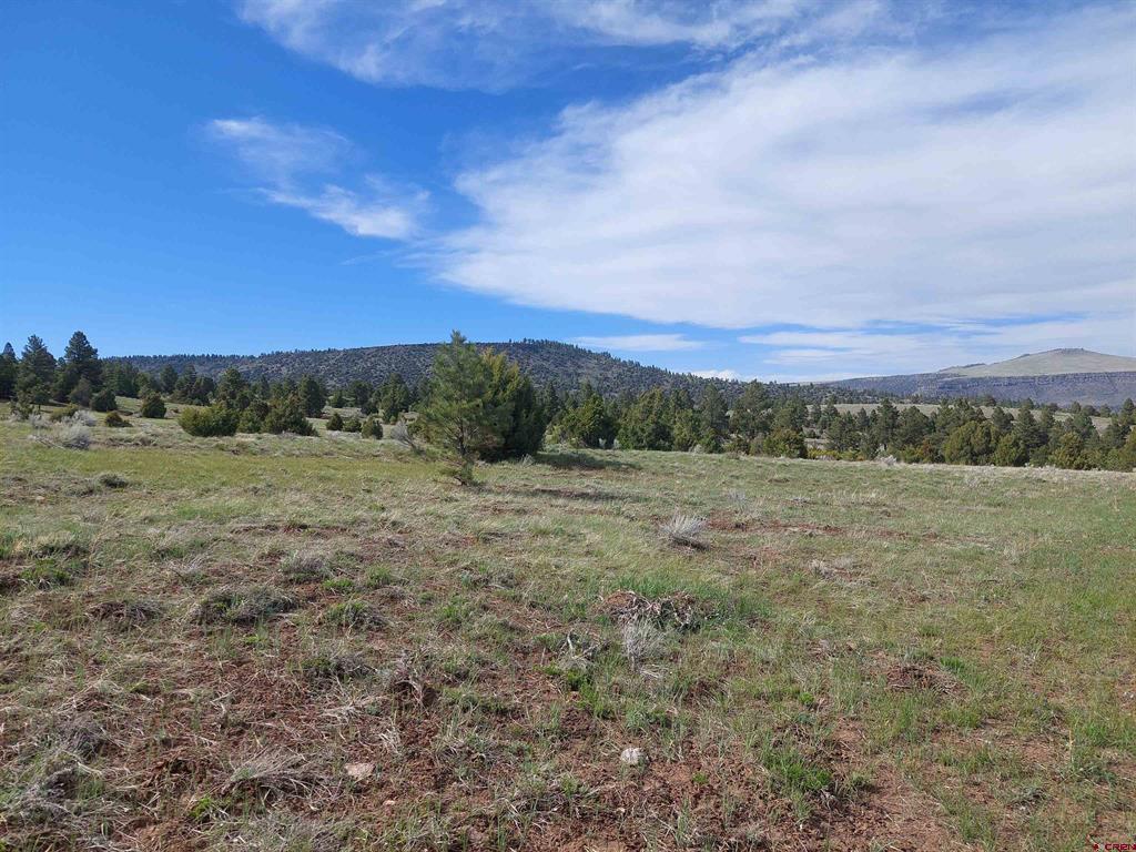 01195 Rito Hondo Rd Property Photo 12