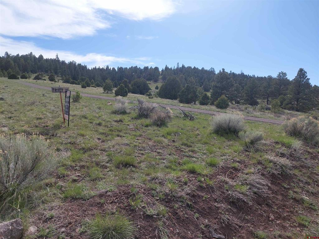01195 Rito Hondo Rd Property Photo 13
