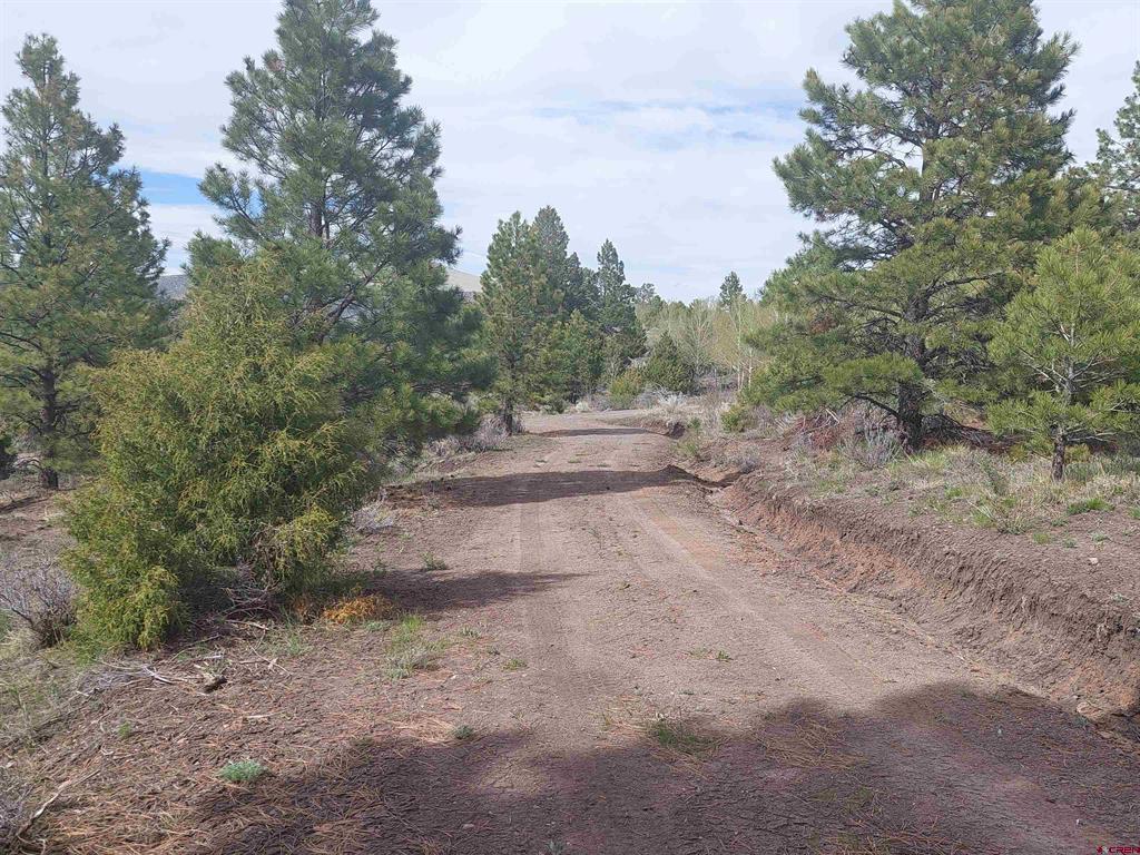 01195 Rito Hondo Rd Property Photo 14