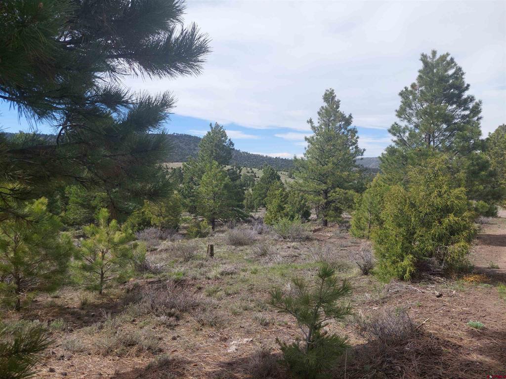 01195 Rito Hondo Rd Property Photo 15