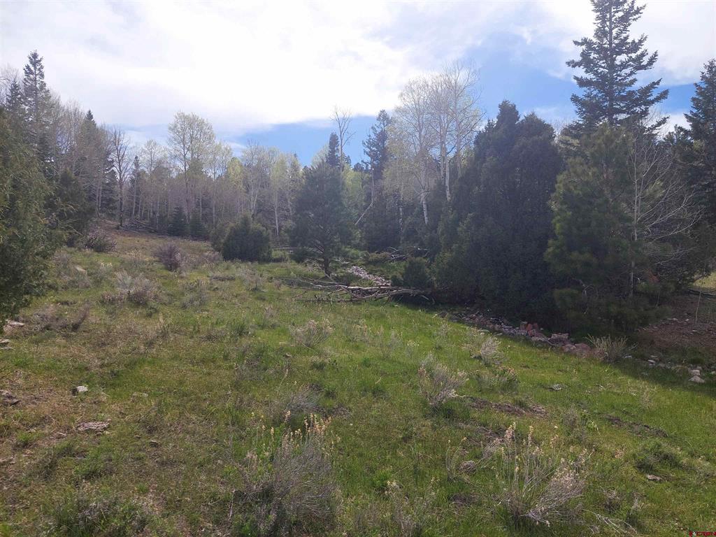 01195 Rito Hondo Rd Property Photo 16