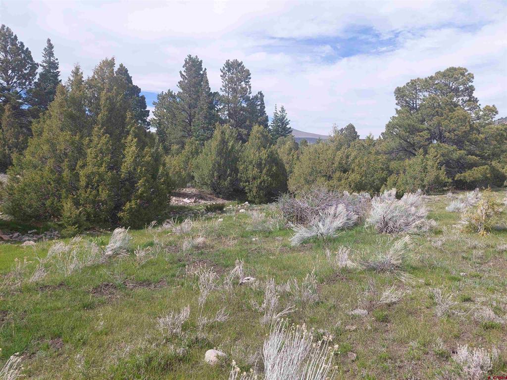 01195 Rito Hondo Rd Property Photo 17