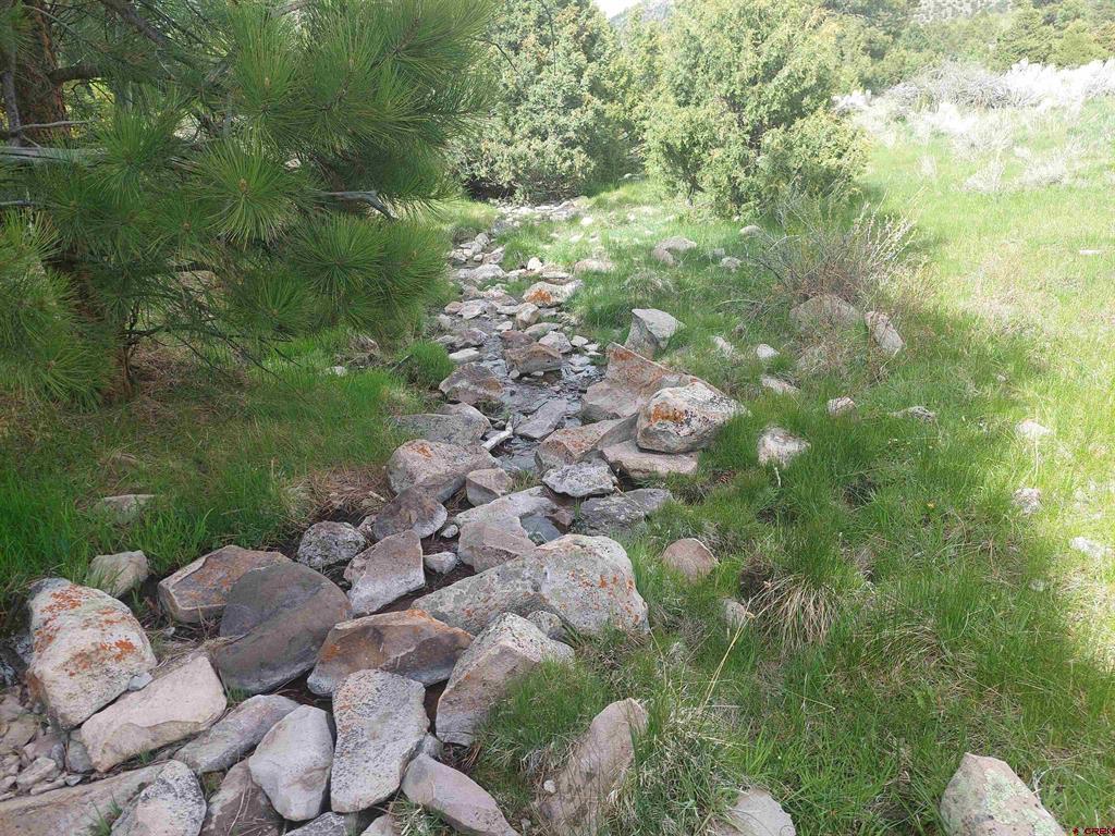 01195 Rito Hondo Rd Property Photo 18