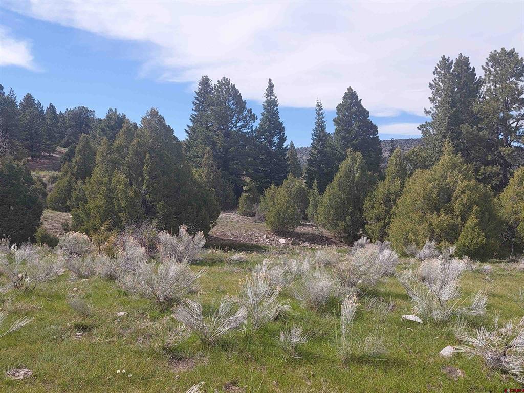 01195 Rito Hondo Rd Property Photo 19