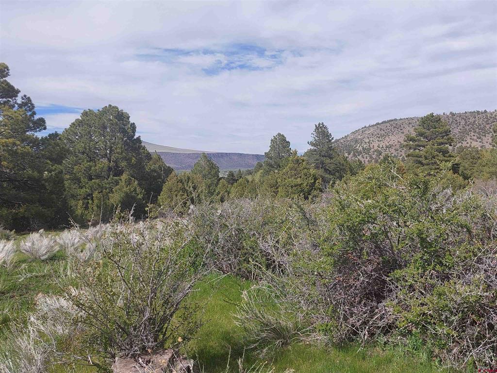 01195 Rito Hondo Rd Property Photo 20