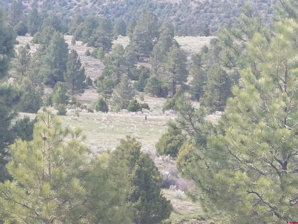 01195 Rito Hondo Rd Property Photo 21