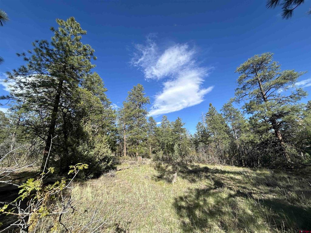 1333 Doc Adams Road Property Photo