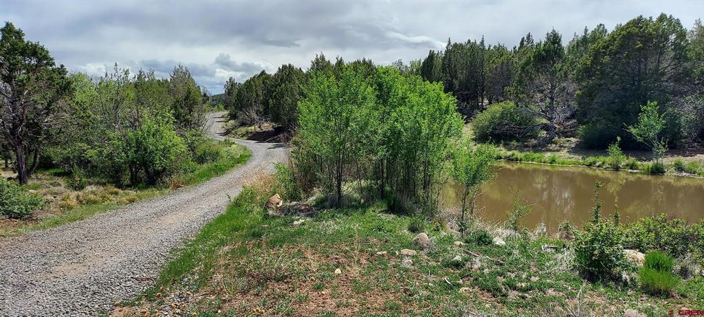 12912 3100 Rd Property Photo 2