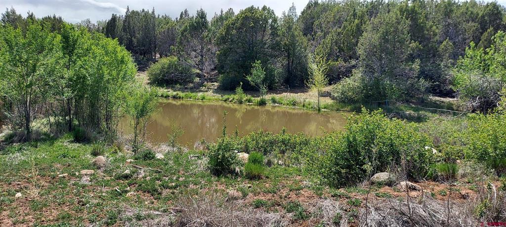 12912 3100 Rd Property Photo 27