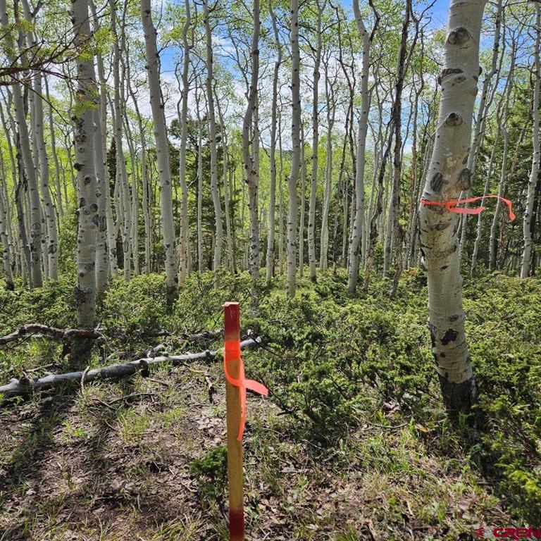 261 Crest Drive Property Photo 1
