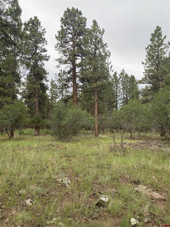 Lot 430 S Badger Trail Property Photo 1