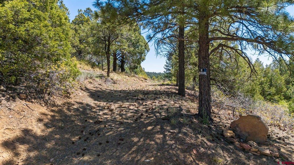 275 Logging Trail Road Property Photo
