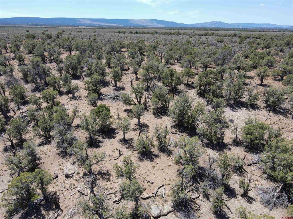 Tbd Highway 141 Highway Property Photo 11