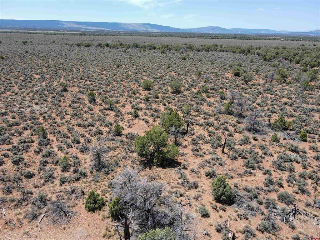 Tbd Highway 141 Highway Property Photo 12