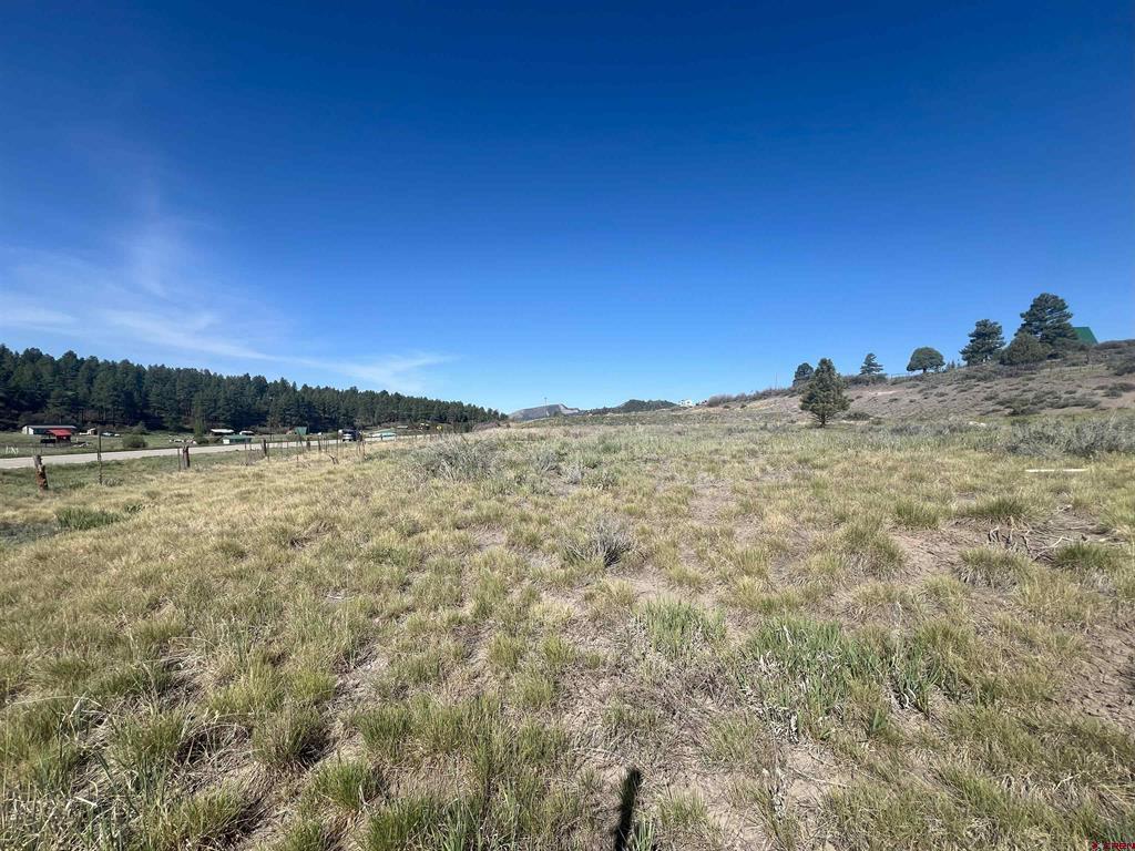 10577 W Us Hwy 160 Property Photo 21
