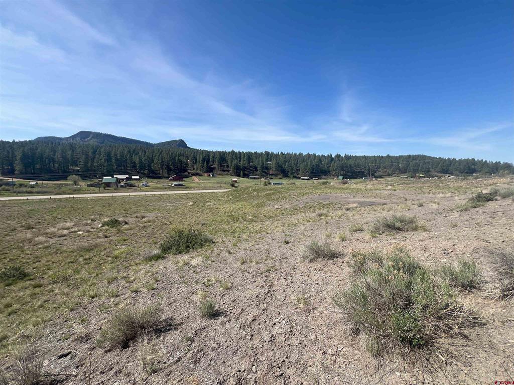 10577 W Us Hwy 160 Property Photo 22