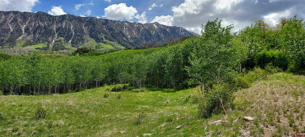 Tbd Highway 133 Property Photo 3